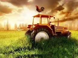 کشاورزی