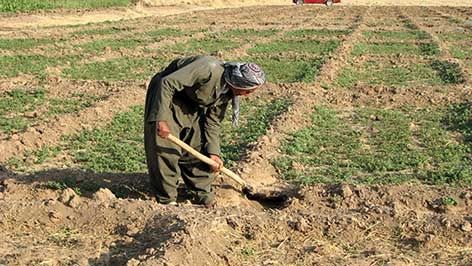 حمایت از کشاورزان، مسئولیت اجتماعی محسوب می‌شود