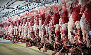 حاشیه سازی برای خرید تضمینی گوشت قرمز/ امنیت تولید را با مخاطره روبرو نکنیم