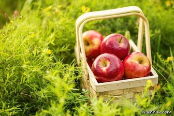 صادرات سیب و پرتقال تا ۱۵ فروردین ۹۸ ممنوع است