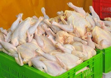 قیمت مرغ تازه کیلویی 12 هزار تومان است / هرکیلوگرم مرغ منجمد 13 هزار تومان شد