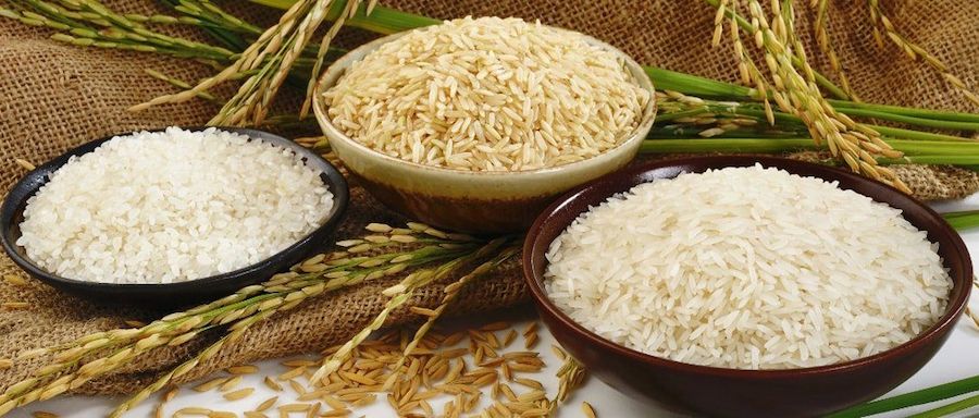 توزیع هوشمند برنج، روغن و شکر از امروز