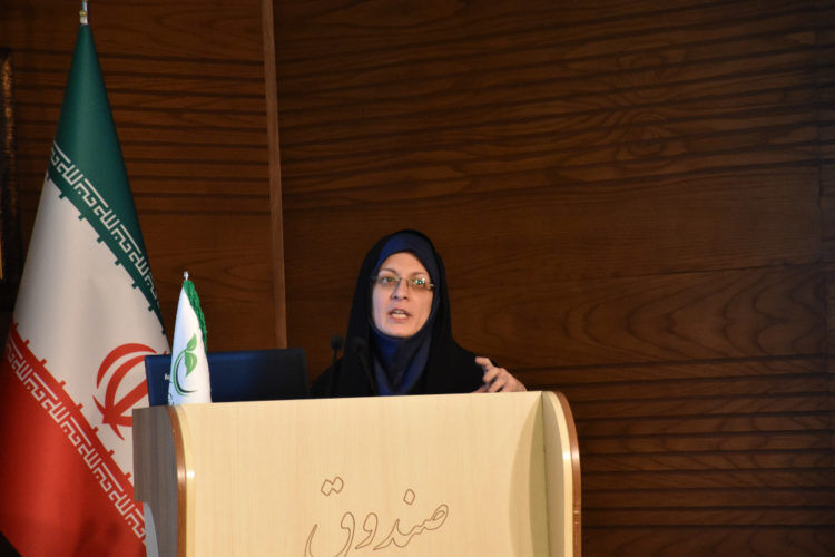 حمایت صندوق نوآوری و شکوفایی از شرکت های دانش بنیان