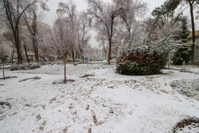 بارش اولین برف زمستانی در اصفهان دی ماه 98

عکس :مجتبی جهان بخش