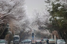 آخرین وضعیت هوای تهران/بارش پراکنده برف و باران و افزایش نسبی دما