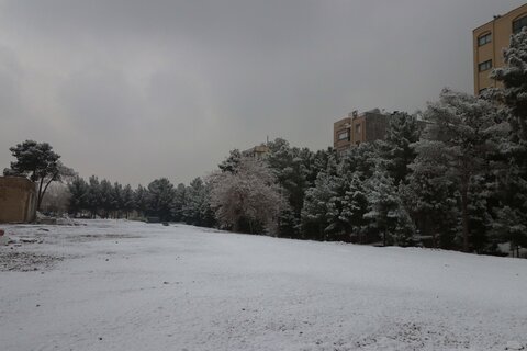 بارش اولین برف زمستانی در اصفهان دی ماه 98

عکس :مجتبی جهان بخش