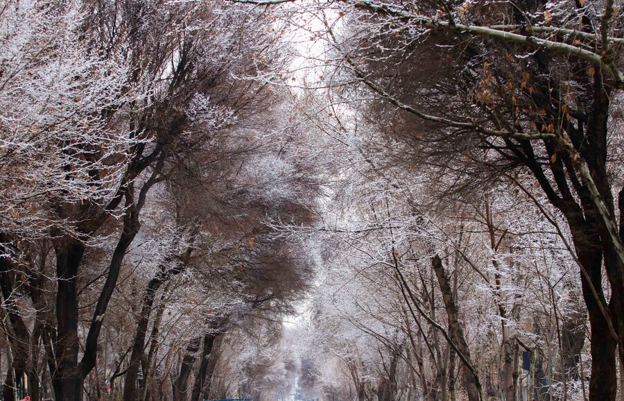 برف و سرما اصفهان را فرا می‌گیرد