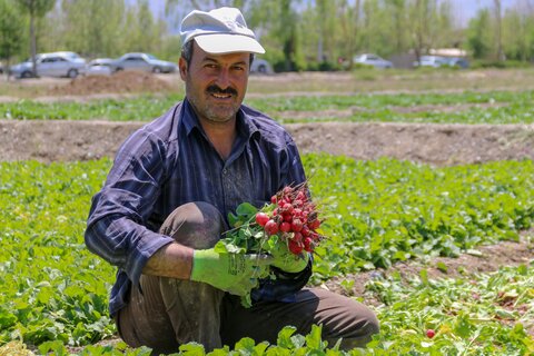 12 اردیبهشت روز جهانی کار و کارگر

عکس:مجتبی جهان بخش