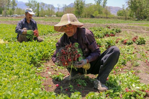 12 اردیبهشت روز جهانی کار و کارگر

عکس:مجتبی جهان بخش