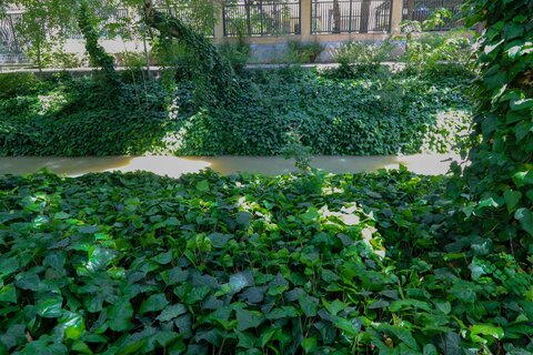 مادی های پر از اب شهر اصفهان اردیبهشت99

عکس:مجتبی جهان بخش