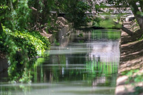 مادی های پر از اب شهر اصفهان اردیبهشت99

عکس:مجتبی جهان بخش