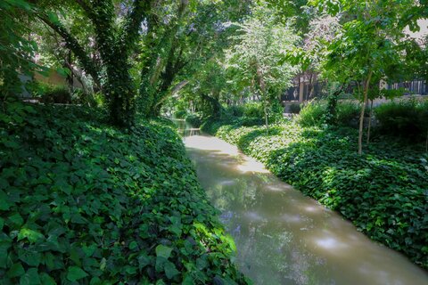 مادی های پر از اب شهر اصفهان اردیبهشت99

عکس:مجتبی جهان بخش