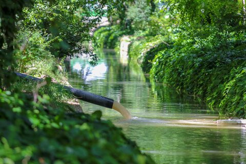 مادی های پر از اب شهر اصفهان اردیبهشت99

عکس:مجتبی جهان بخش
