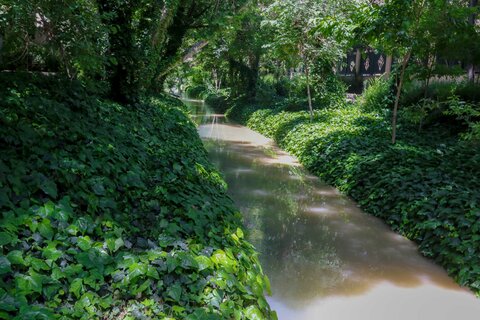 مادی های پر از اب شهر اصفهان اردیبهشت99

عکس:مجتبی جهان بخش