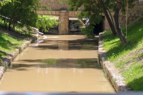 مادی های پر از اب شهر اصفهان اردیبهشت99

عکس:مجتبی جهان بخش