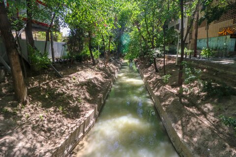 مادی های پر از اب شهر اصفهان اردیبهشت99

عکس:مجتبی جهان بخش