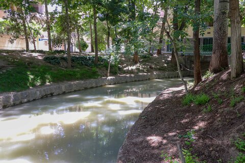 مادی های پر از اب شهر اصفهان اردیبهشت99

عکس:مجتبی جهان بخش