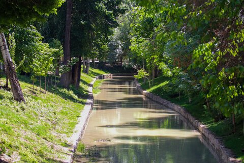 مادی های پر از اب شهر اصفهان اردیبهشت99

عکس:مجتبی جهان بخش