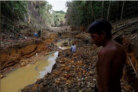 استخراج غیر قانونی طلا، تهدید جدی برای قبیله بزرگ برزیلی