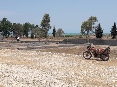خرده مالکی بلای جان اراضی کشاورزی شمال کشور شده است