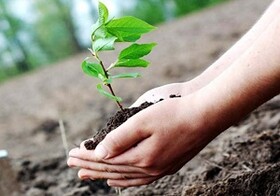حفظ سلامت هوا با درختکاری تحقق می‌یابد