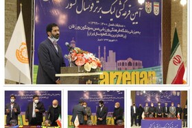 شرکت ملی صنایع مس ایران در راستای عمل به مسئولیت اجتماعی خود حوزه ورزش را دنبال می‌کند