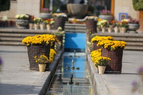 جشنواره گلهای داوودی درباغ گلها اصفهان

عکس: مجتبی جهان بخش