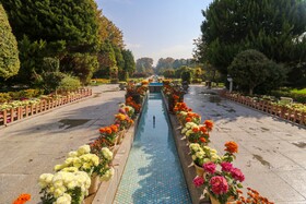 جشنواره گلهای داوودی درباغ گلها اصفهان

عکس: مجتبی جهان بخش