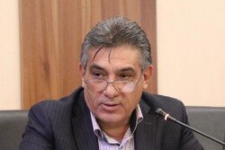 دولت از دخالت در امور واردات و صادرات دست بردارد/ قوانین غیر کارآمد، کشتی اقتصاد را به گِل نشانده است