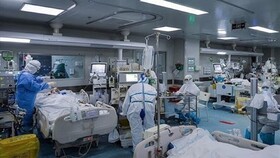 شناسایی ۲۰۴۶ مورد جدید/ بستری ۵۹۰ بیمار در بیمارستان الزهرا
