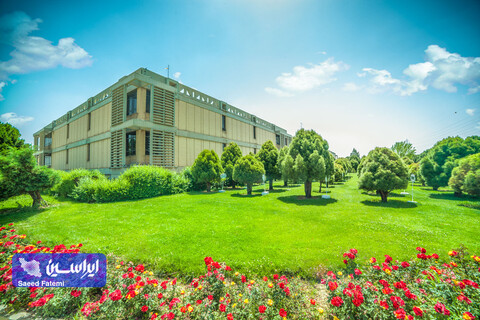 محیط زیست