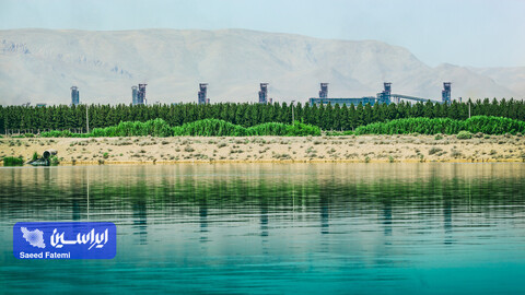 محیط زیست