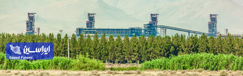 محیط زیست