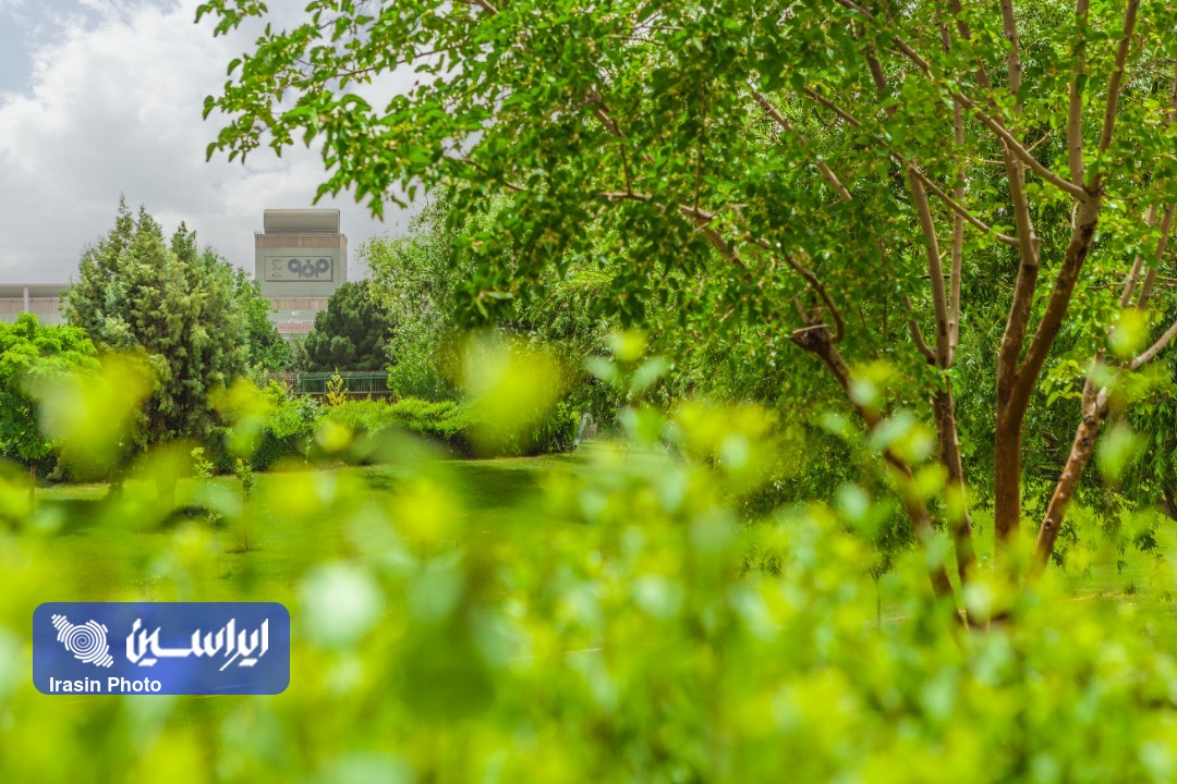 زیست سبز غول صنعت فولاد ایران در ۱۴۰۳