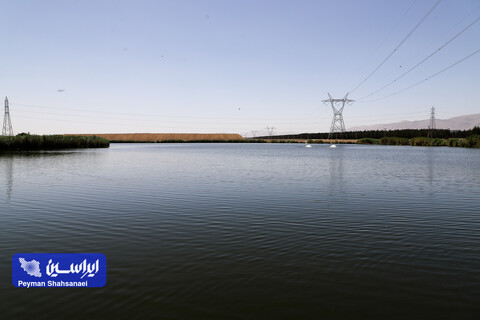 حوضچه های ذخیره پساب تصفیه شده که با توجه به خشکسالی های اخیر تنها مکان پذیرش پرندگان مهاجر در فلات مرکزی ایران در طول سال است
