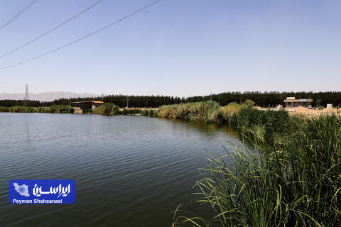 اقدامات مجتمع فولاد مباکه در خصوص حفظ محیط زیست