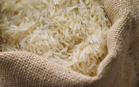 افت ۵۲ درصدی واردات برنج