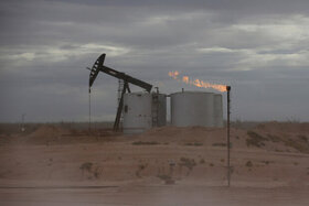 قیمت جهانی نفت خام تثبیت شد