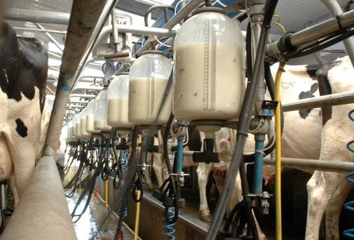 ابهام قیمت شیر در قطب تولید محصولات دامی کشور