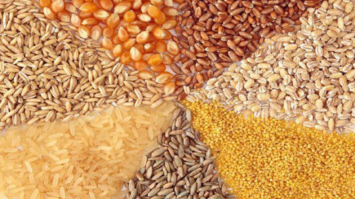 واردات ۴.۲ میلیارد دلاری خوراک دام و طیور