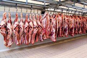 تداوم روند کاهش قیمت گوشت در بازار/ افت ۳۰ هزار تومانی قیمت دام زنده
