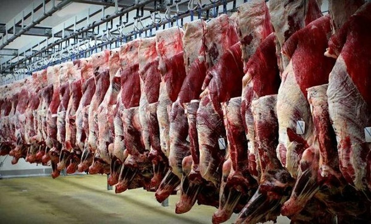 روند کاهش قیمت گوشت گوسفندی با اقدامات تنظیم بازاری دولت