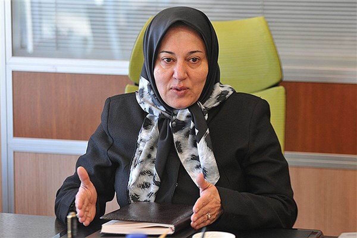 نگاه اصلی دولت بها دادن به بخش خصوصی باشد/ قطعا مشاوره بخش خصوصی نادیده گرفته شده است