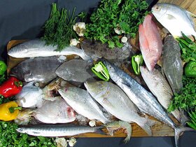 رد پای مصرف ماهی در سلامت پیری اثبات شد
