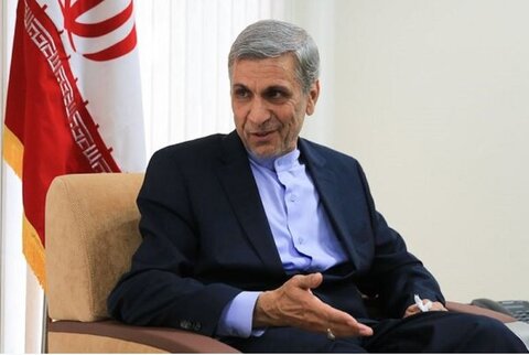 ابراهیم شیبانی مشاور وزیر اقتصاد در امور بانکی