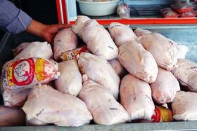 عرضه مرغ در اصفهان با نرخ ۳۱ هزار تومان مصوب شد