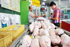 کاهش قیمت تخم مرغ و افزایش قیمت مرغ در بازار