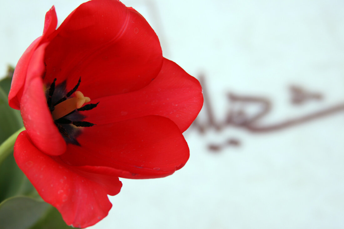 تشییع پیکر ۲۰ شهید گمنام در اصفهان