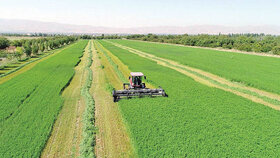 کشاورزی ایران در سال۲۰۲۲؛ از رشد دو رقمی تولید گندم و برنج تا افزایش صادرات لبنیات
