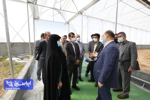 بازدید مدیرعامل شرکت فولاد مبارکه و هیات همراه از محل اجرای طرح ملی خودکفایی بذر کشور و دانشگاه آزاد اسلامی واحد شهر مجلسی